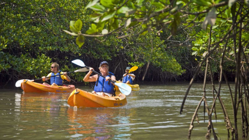 people kayaking on water