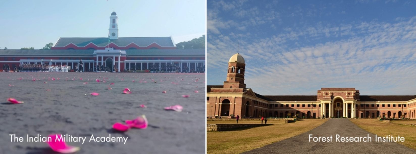 The IMA Forest Research Institute