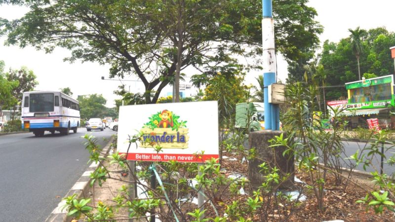 Plants planted on a road divider