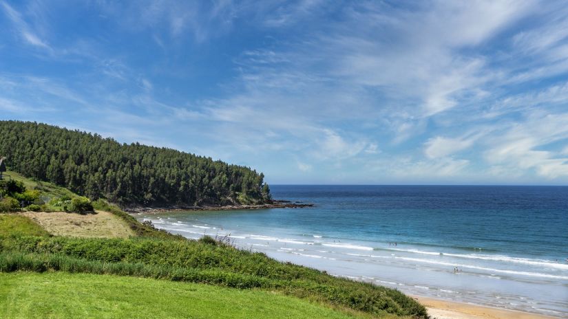 Beach view with forest and ocean 