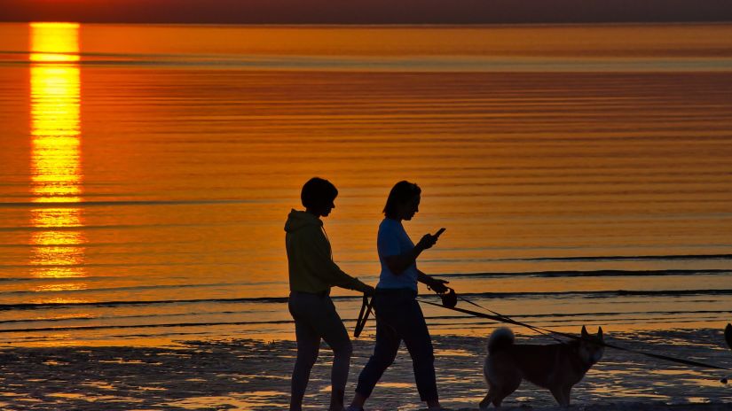 a couple walking their dogs by the beach during sunset