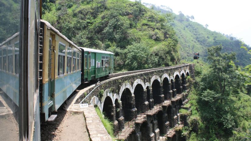 A train coming out of a thick tree canopy