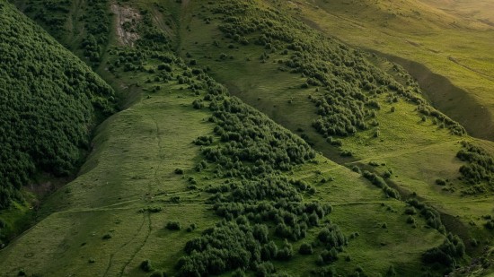 bird's eye view of lush hills