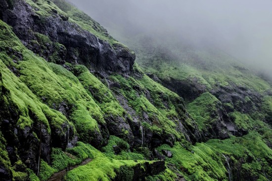 alt-text A mystical landscape showcasing lush green hills veiled in mist, with a narrow, winding trail visible amidst the vibrant greenery. The terrain is steep and rugged, creating a sense of adventure and solitude in nature.