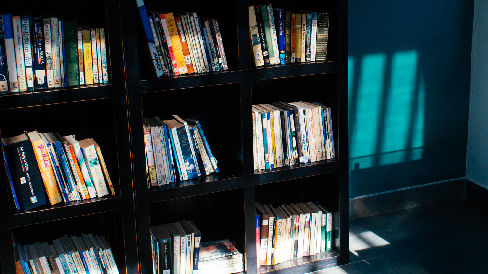 sunlight hitting bookshelf 1