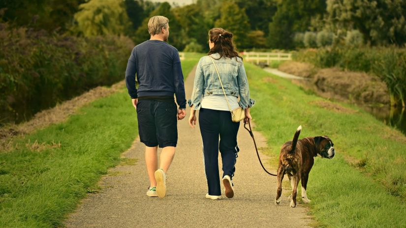 a couple walking their dog
