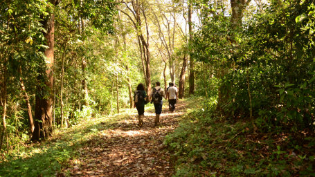 Recreation at the golden tusk Jim Corbett, Activities in Jim Corbett 7