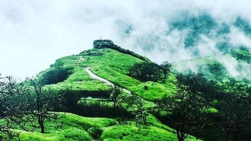 Clouds surrounding a lush green hillside covered in lots of trees.