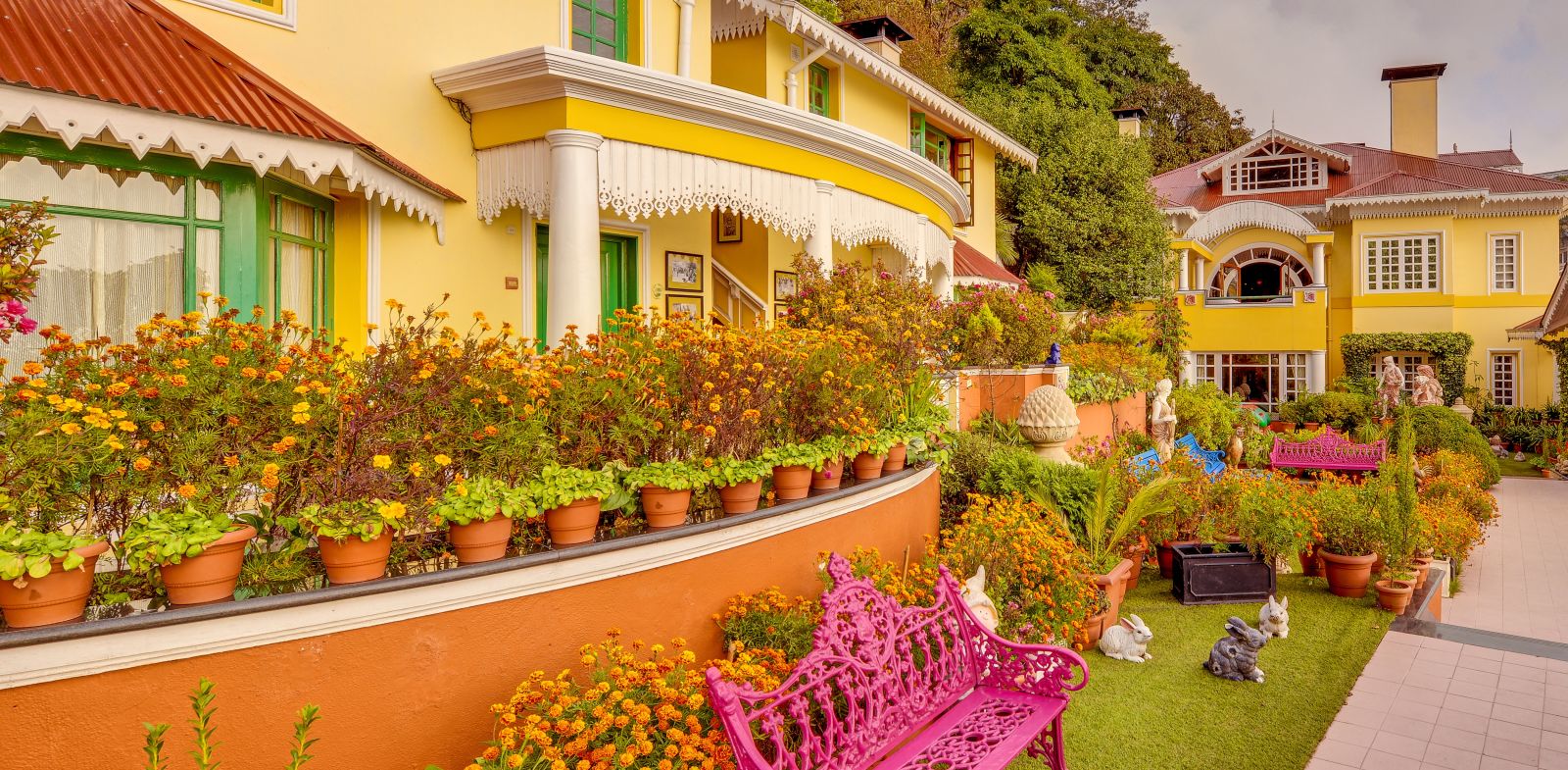 view of a part of the resort and a pink bench on the left side - Mayfair Himalayan Spa Resort Kalimpong