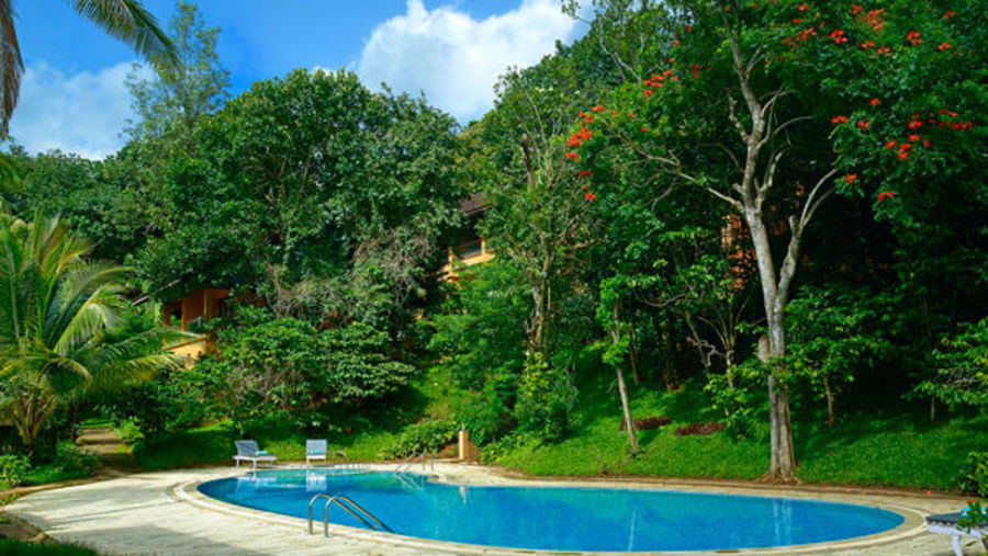 Swimming Pool at our resort in Thekkady, Abad Green Forest, Thekkady-5