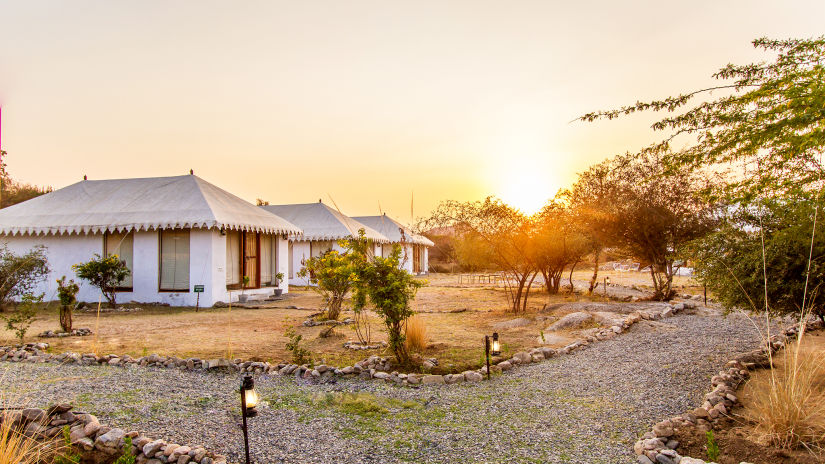 Luxury tents located on the left hand side with the sun setting in the background - Sultan e jawai