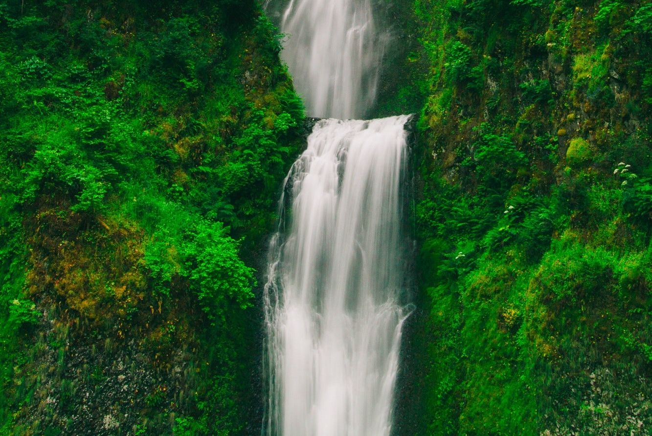 a waterfall surrounded by lush greenery