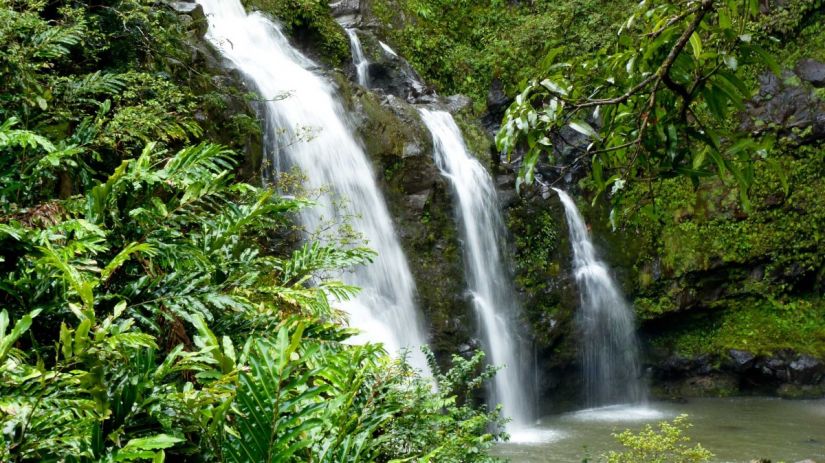 jungle waterfall aloha on the ganges