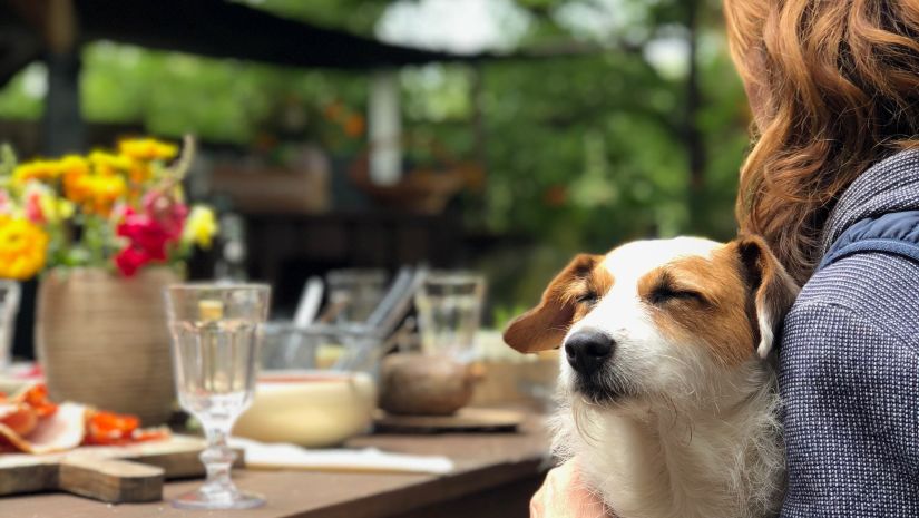 a woman eating food with her pet