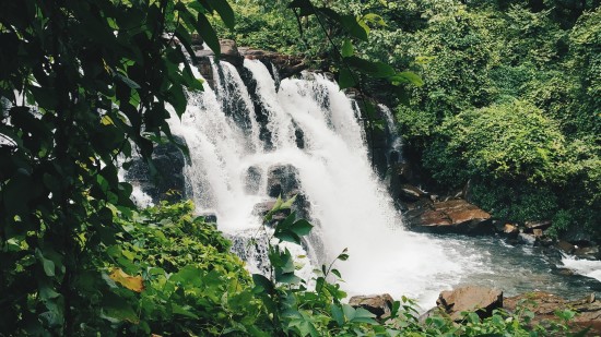 image of a waterfall with leaves on the foreground