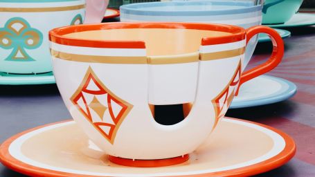 a cup and saucer ride