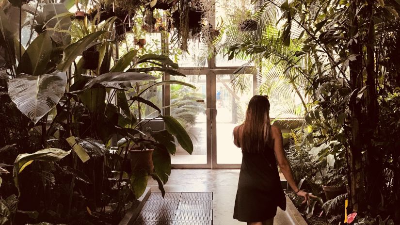 woman walking in botanical garden with potted plants next to her