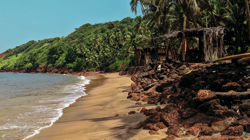 beach side with lush green trees lining the shore