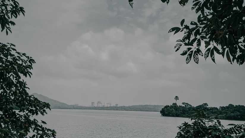 A view of Mumbai lake amidst the leaves
