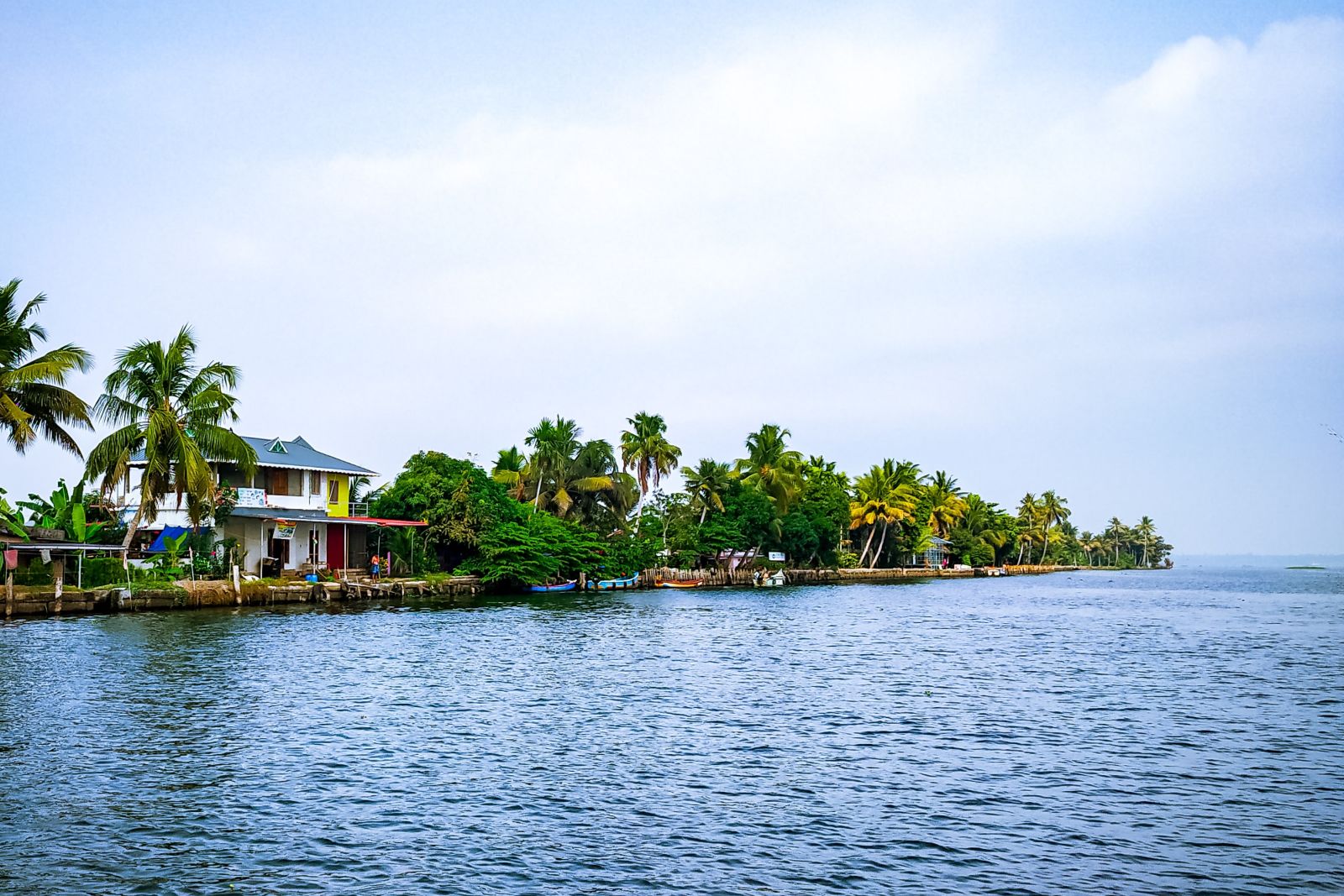 The backwaters of Alleppey with an island with lush greenery