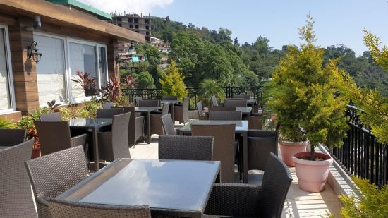 dining area on the terrace surrounded by lush greenery at Little Mastiff, Dharamshala