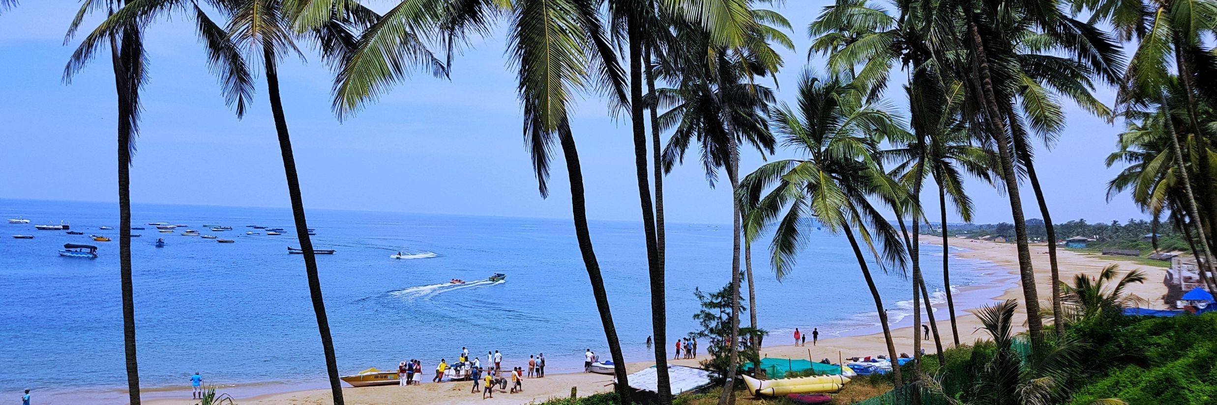 beach sand and palm trees with blue sky and sea as far the eyes can see @ Lamrin Ucassaim Hotel, Goa