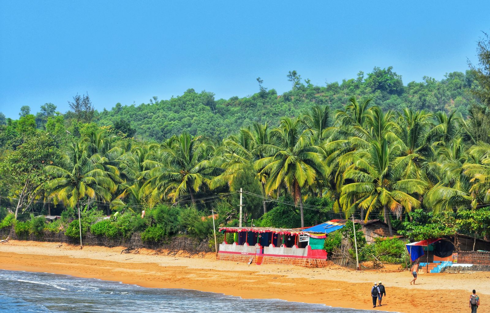 aerial view of a shack at a beach surrounded by trees