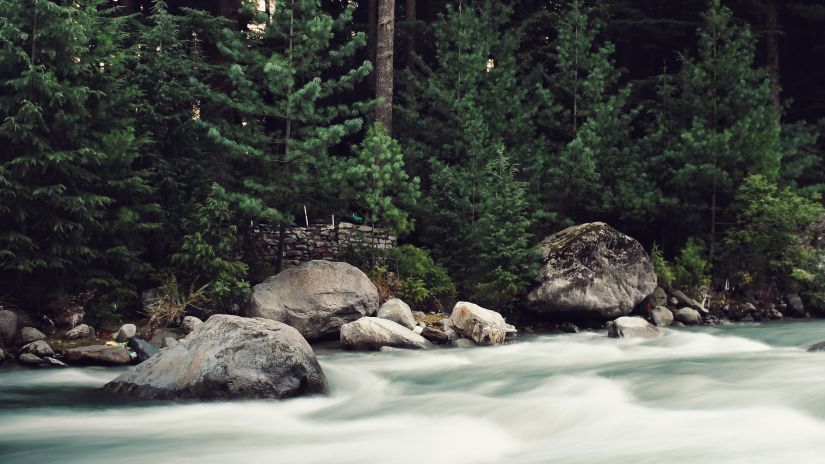 Stream flowing with stones and tress on sides