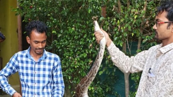 2 men handling a snake at Golden Tusk