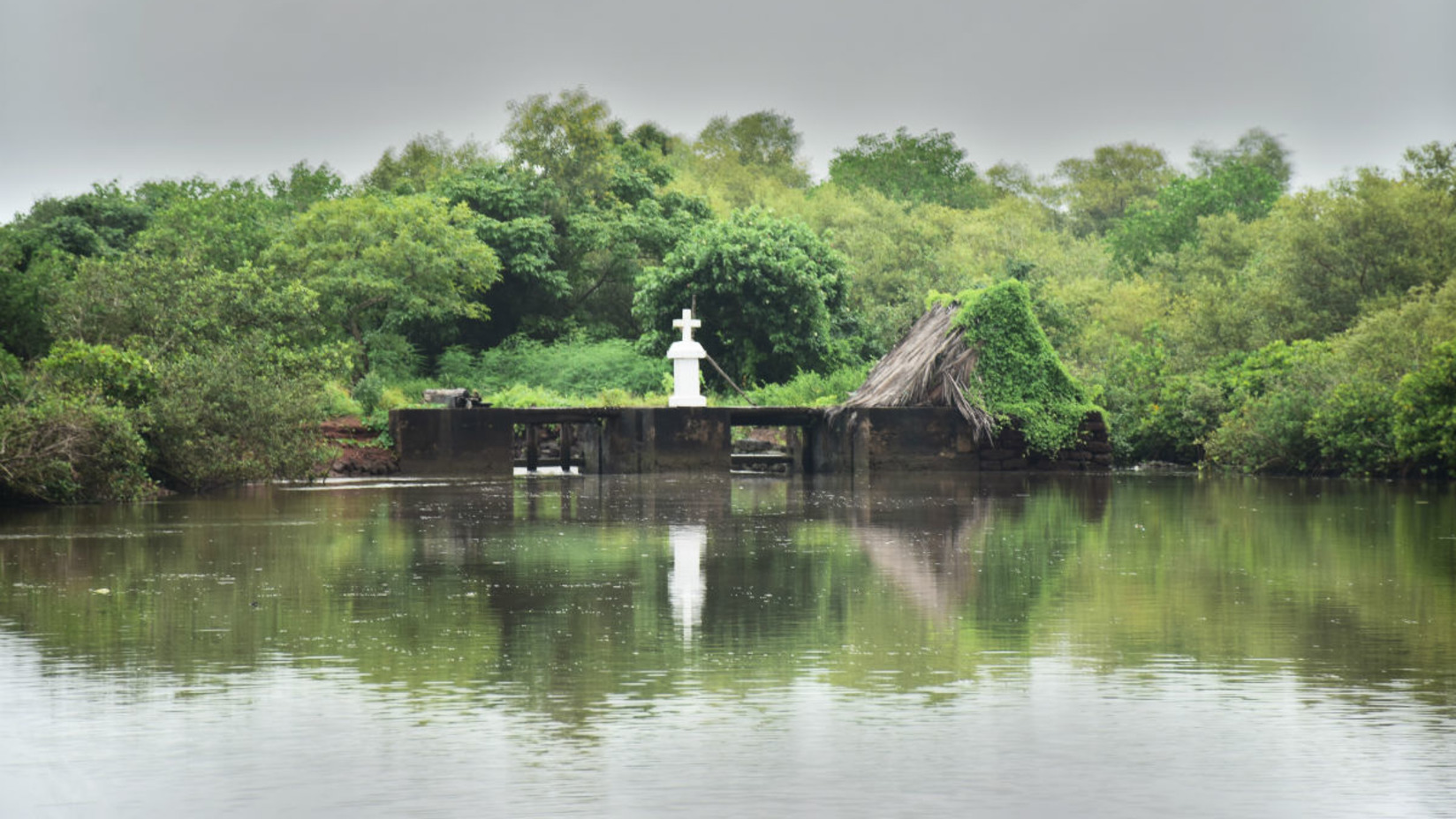 The Mandovi River runs alongside a verdant forest