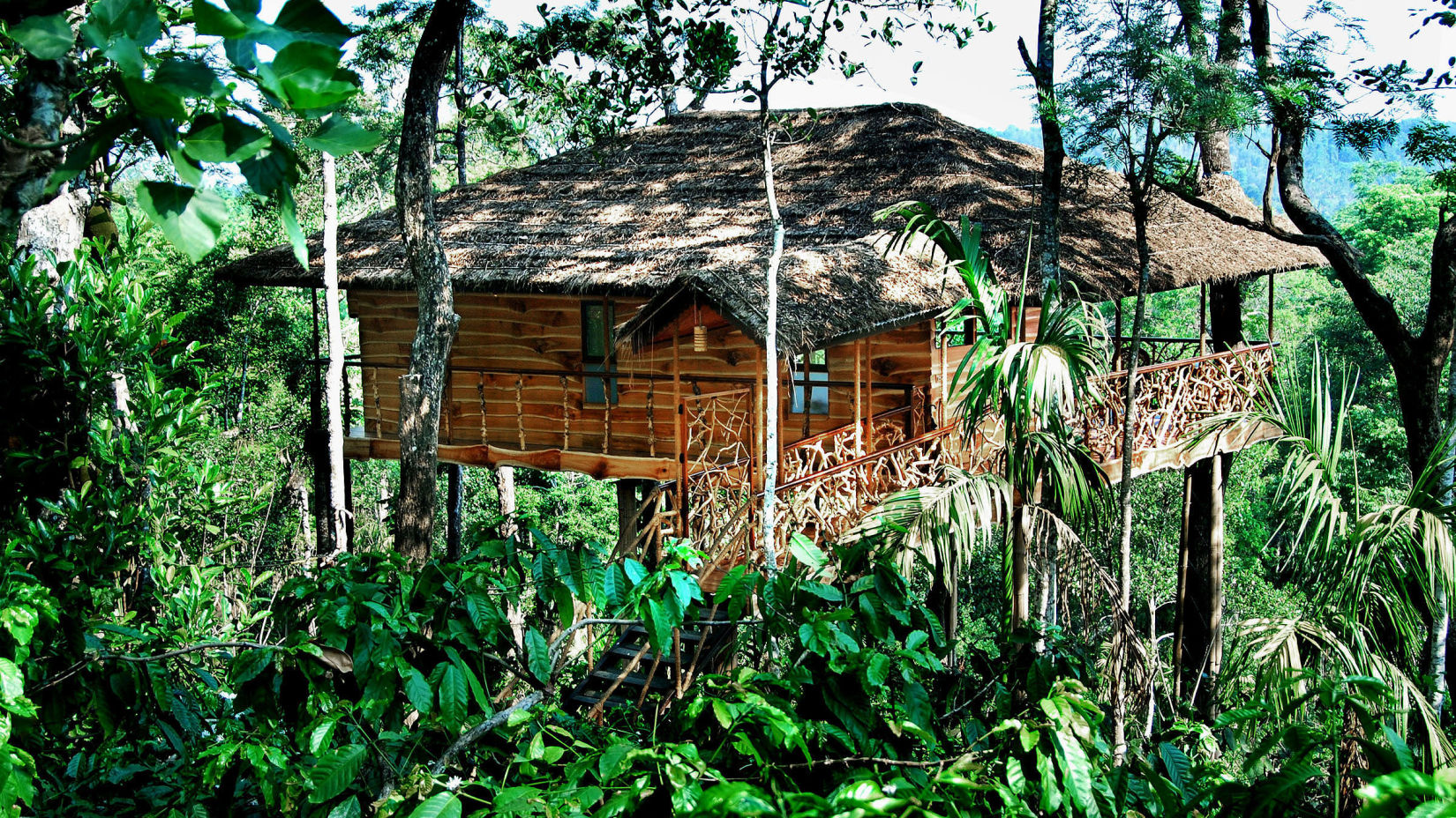 Tranquil Resort, Wayanad Wayanad Tree house at Tranquil Resort Wayanad Kerala