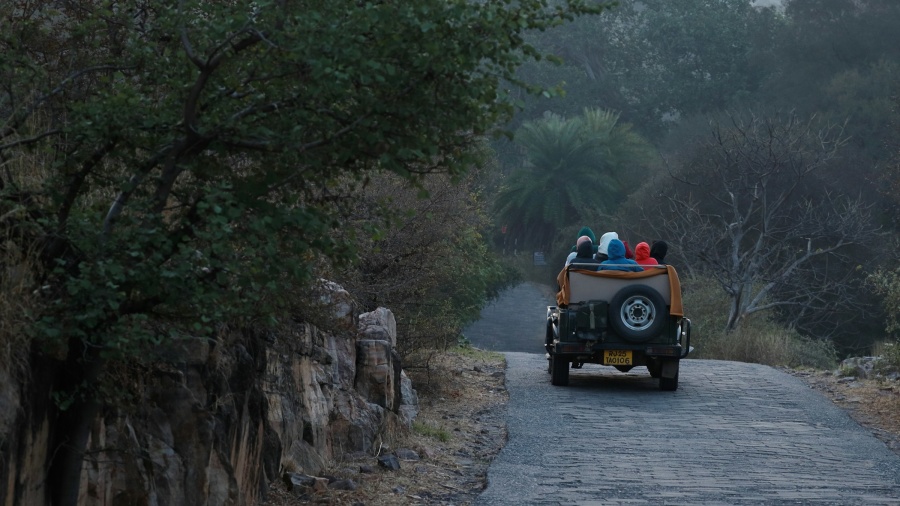 A jeep safari through the ranthambore national park