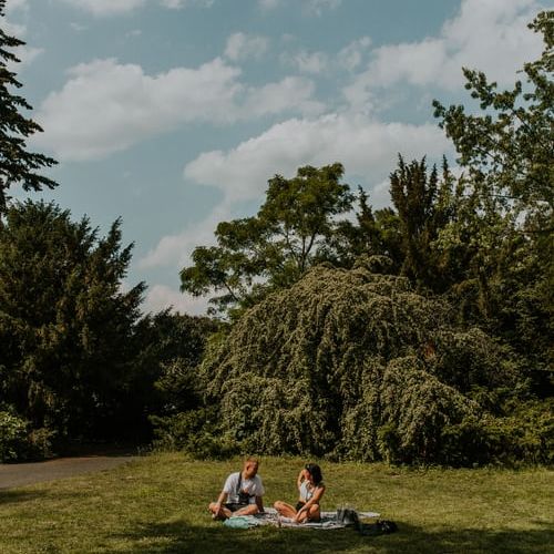 people on a picnic 29