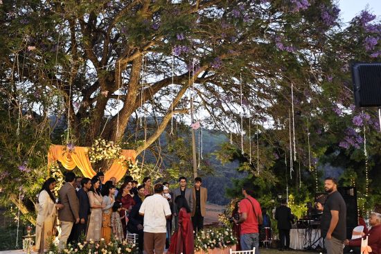 alt-text Outdoor wedding setup under a large tree decorated with purple flowers and an orange draped altar, with guests gathered around in Coonoor.