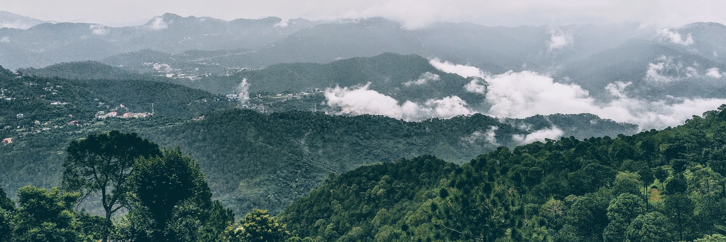 Kasauli