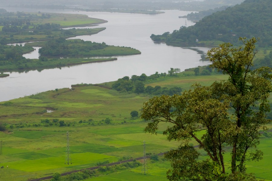 alt-text Overcast view from a high vantage point over a lush valley with a winding river cutting through dense green fields and distant hills shrouded in mist.