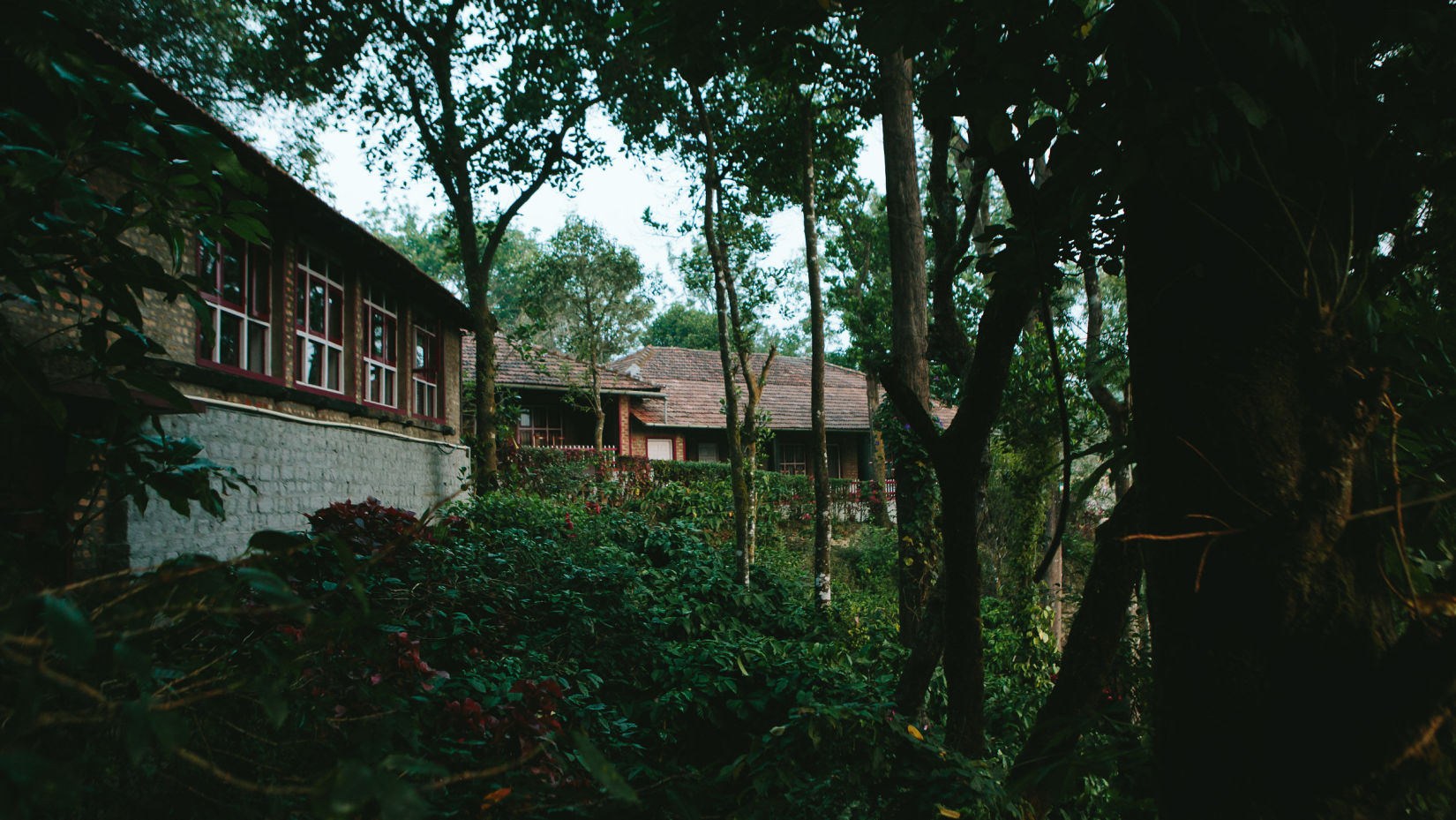 An overview of the buildings with nature cover at Capitol Village Resort, Madikeri