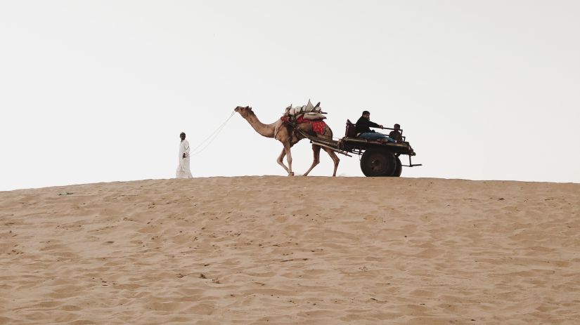 people enjoying a camel ride at a desert