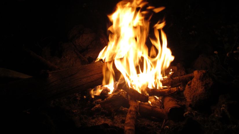 vertical shot of a burning flame in a bonfire