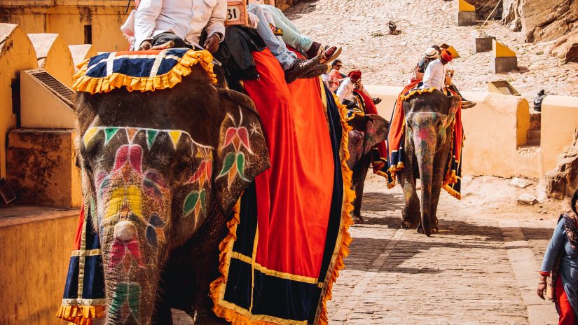 people sitting on elephants taking them for a ride, the elephants are decorated for festivals