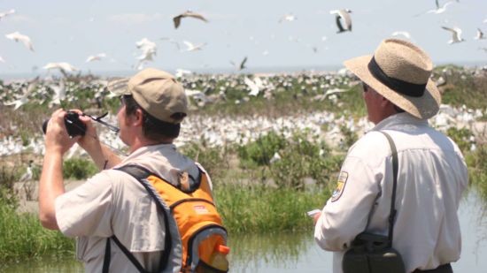 two persons Bird watching in Port Blair 