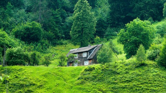 green landscape 