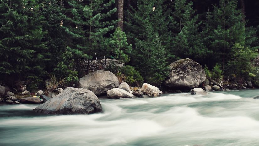 Stream flowing with stones and tress on sides