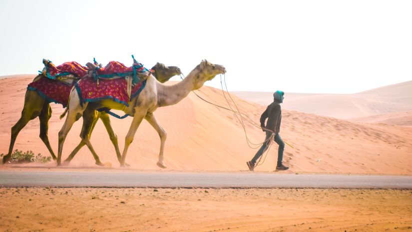 a man with a camel walking in the desert