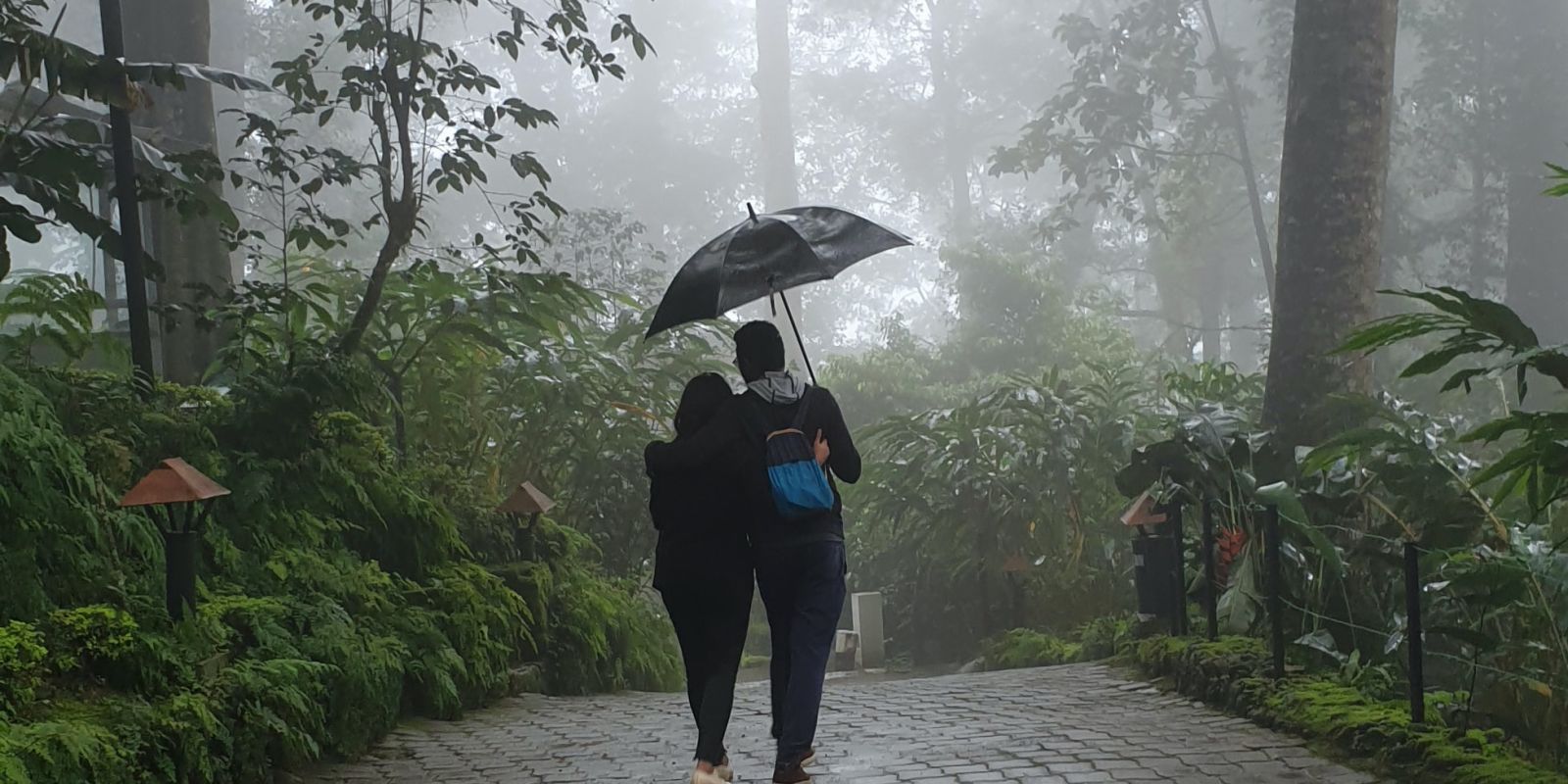 people walking in the rain