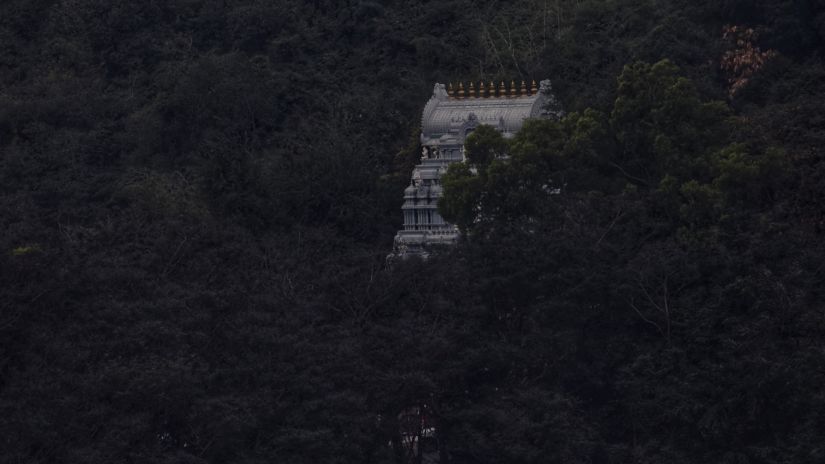 a temple enveloped by the forest with intricate carvings on the roof