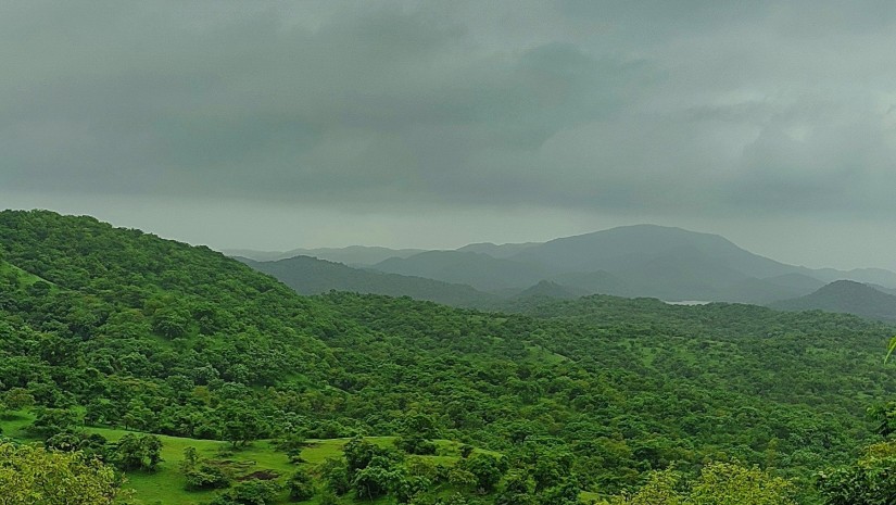 stormclouds over a lush forest