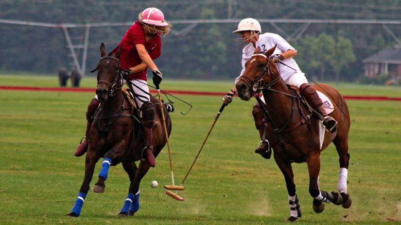 Two polo players duelling for the ball on the ground while playing polo