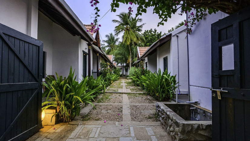 alley view at Neemrana coconut alley