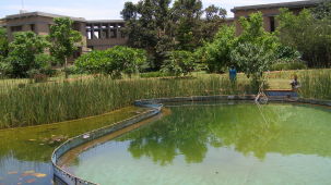 Pond at Our Native Village - Resorts around Bangalore 23